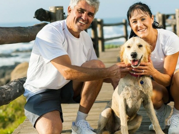 Best Dog Breeds for Senior Citizens