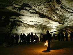 Mammoth Cave National Park